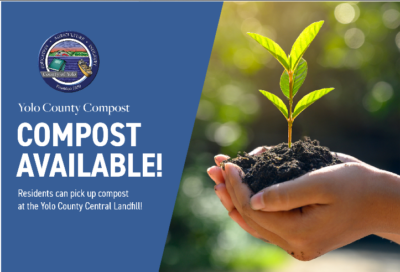 Compost at the Yolo County Central Landfill Image